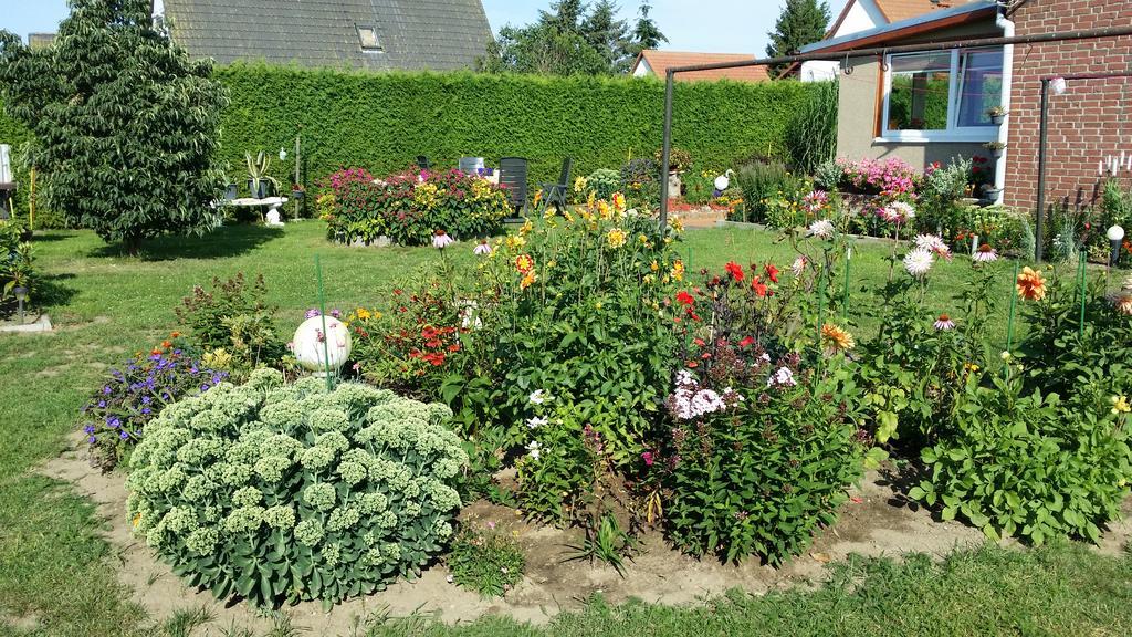 Ferienhaus Storchenweg Mahlzow Exteriör bild
