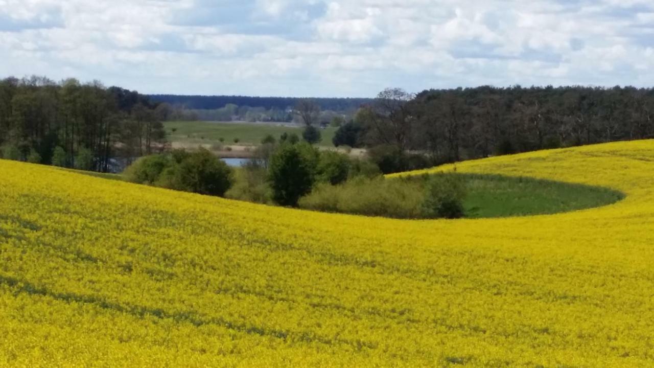 Ferienhaus Storchenweg Mahlzow Exteriör bild